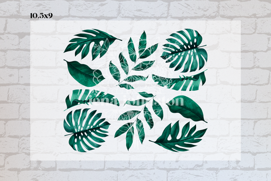 Watercolor Monstera