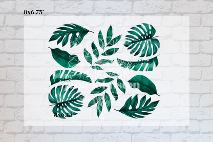 Watercolor Monstera